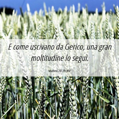 Picture 06 - Matteo 20:29 RIV - E come uscivano da Gerico, una gran moltitudine - Bible Verse Picture