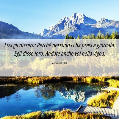 Picture 06 - Matteo 20:7 RIV - Essi gli dissero: Perché nessuno ci ha presi a - Bible Verse Picture