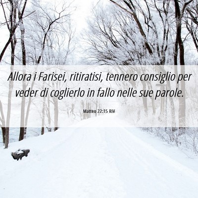 Picture 06 - Matteo 22:15 RIV - Allora i Farisei, ritiratisi, tennero consiglio - Bible Verse Picture