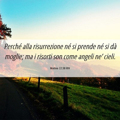 Picture 06 - Matteo 22:30 RIV - Perché alla risurrezione né si prende né si - Bible Verse Picture