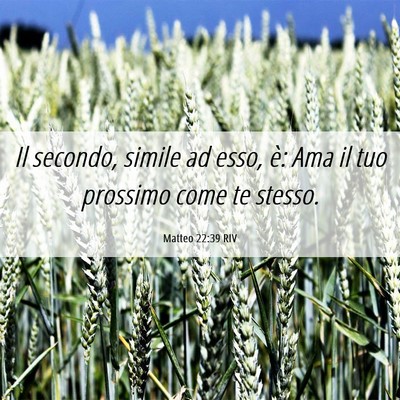 Picture 06 - Matteo 22:39 RIV - Il secondo, simile ad esso, è: Ama il tuo - Bible Verse Picture
