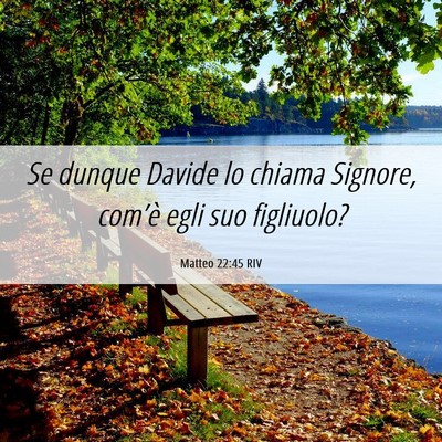 Picture 06 - Matteo 22:45 RIV - Se dunque Davide lo chiama Signore, com’è egli - Bible Verse Picture