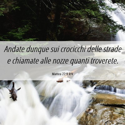 Picture 06 - Matteo 22:9 RIV - Andate dunque sui crocicchi delle strade e - Bible Verse Picture