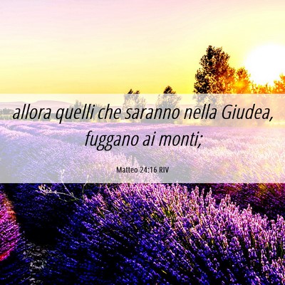 Picture 06 - Matteo 24:16 RIV - allora quelli che saranno nella Giudea, fuggano - Bible Verse Picture