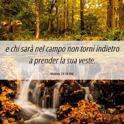 Picture 06 - Matteo 24:18 RIV - e chi sarà nel campo non torni indietro a - Bible Verse Picture