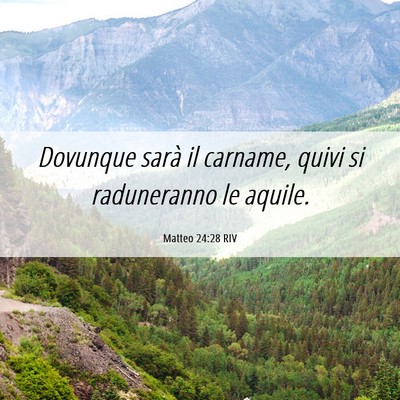 Picture 06 - Matteo 24:28 RIV - Dovunque sarà il carname, quivi si raduneranno - Bible Verse Picture