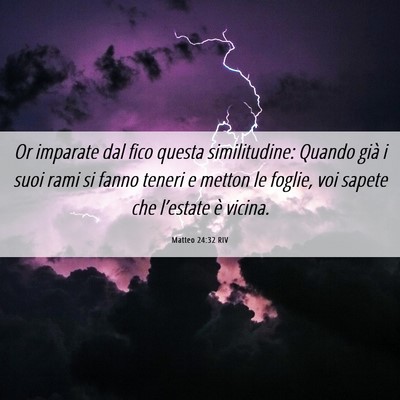 Picture 06 - Matteo 24:32 RIV - Or imparate dal fico questa similitudine: Quando - Bible Verse Picture