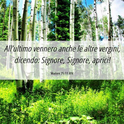 Picture 06 - Matteo 25:11 RIV - All’ultimo vennero anche le altre vergini, - Bible Verse Picture