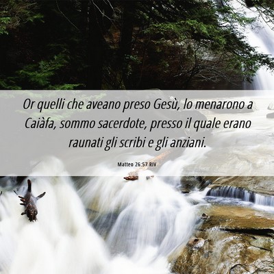 Picture 06 - Matteo 26:57 RIV - Or quelli che aveano preso Gesù, lo menarono a - Bible Verse Picture