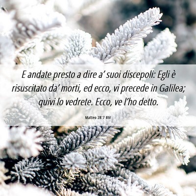 Picture 06 - Matteo 28:7 RIV - E andate presto a dire a’ suoi discepoli: Egli - Bible Verse Picture