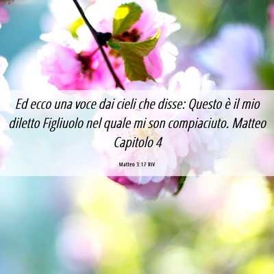 Picture 06 - Matteo 3:17 RIV - Ed ecco una voce dai cieli che disse: Questo è - Bible Verse Picture