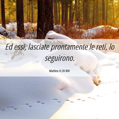 Picture 06 - Matteo 4:20 RIV - Ed essi, lasciate prontamente le reti, lo - Bible Verse Picture