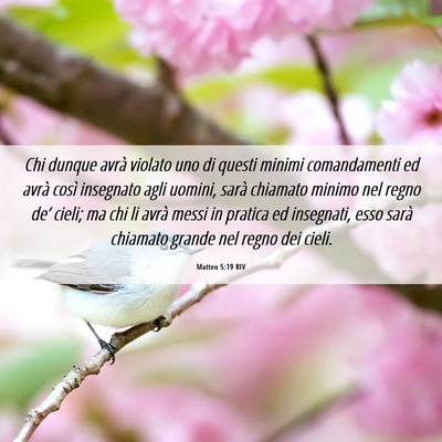 Picture 06 - Matteo 5:19 RIV - Chi dunque avrà violato uno di questi minimi - Bible Verse Picture