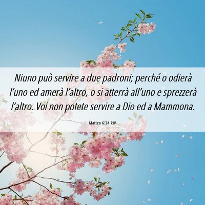 Picture 06 - Matteo 6:24 RIV - Niuno può servire a due padroni; perché o - Bible Verse Picture