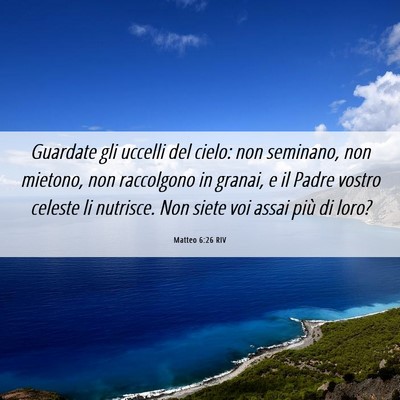 Picture 06 - Matteo 6:26 RIV - Guardate gli uccelli del cielo: non seminano, non - Bible Verse Picture