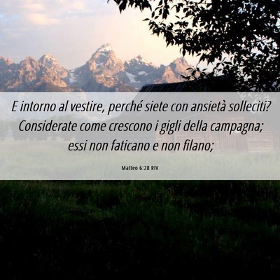 Picture 06 - Matteo 6:28 RIV - E intorno al vestire, perché siete con ansietà - Bible Verse Picture