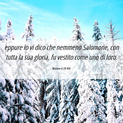 Picture 06 - Matteo 6:29 RIV - eppure io vi dico che nemmeno Salomone, con tutta - Bible Verse Picture