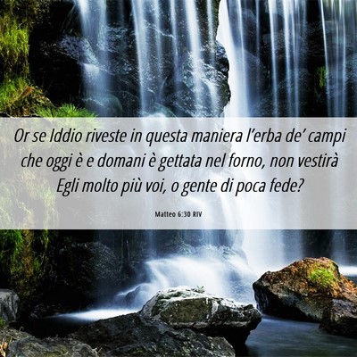 Picture 06 - Matteo 6:30 RIV - Or se Iddio riveste in questa maniera l’erba - Bible Verse Picture