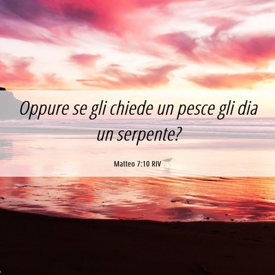 Picture 06 - Matteo 7:10 RIV - Oppure se gli chiede un pesce gli dia un - Bible Verse Picture