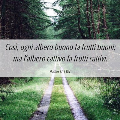 Picture 06 - Matteo 7:17 RIV - Così, ogni albero buono fa frutti buoni; ma - Bible Verse Picture