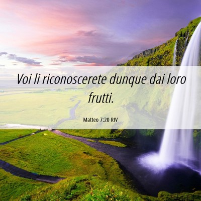 Picture 06 - Matteo 7:20 RIV - Voi li riconoscerete dunque dai loro - Bible Verse Picture