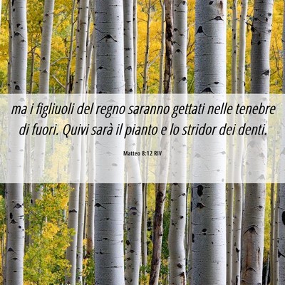 Picture 06 - Matteo 8:12 RIV - ma i figliuoli del regno saranno gettati nelle - Bible Verse Picture