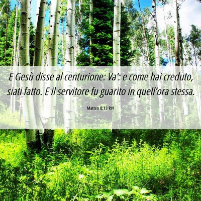 Picture 06 - Matteo 8:13 RIV - E Gesù disse al centurione: Va’: e come hai - Bible Verse Picture