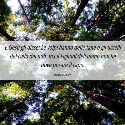 Picture 06 - Matteo 8:20 RIV - E Gesù gli disse: Le volpi hanno delle tane e - Bible Verse Picture