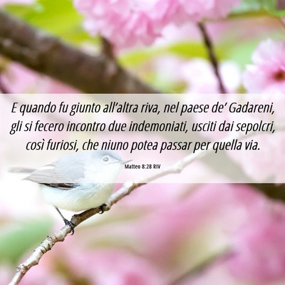 Picture 06 - Matteo 8:28 RIV - E quando fu giunto all’altra riva, nel paese - Bible Verse Picture