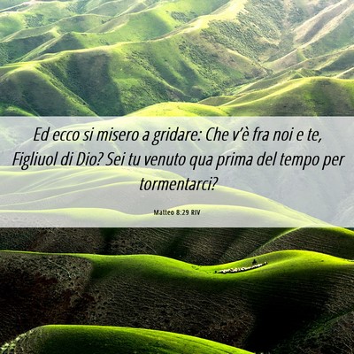 Picture 06 - Matteo 8:29 RIV - Ed ecco si misero a gridare: Che v’è fra noi e - Bible Verse Picture