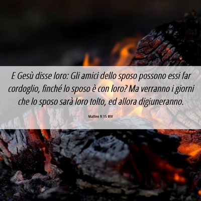 Picture 06 - Matteo 9:15 RIV - E Gesù disse loro: Gli amici dello sposo possono - Bible Verse Picture