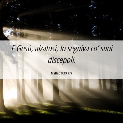 Picture 06 - Matteo 9:19 RIV - E Gesù, alzatosi, lo seguiva co’ suoi - Bible Verse Picture