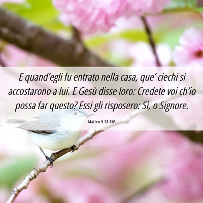 Picture 06 - Matteo 9:28 RIV - E quand’egli fu entrato nella casa, que’ - Bible Verse Picture