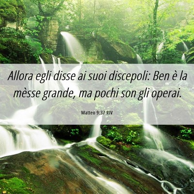 Picture 06 - Matteo 9:37 RIV - Allora egli disse ai suoi discepoli: Ben è la - Bible Verse Picture