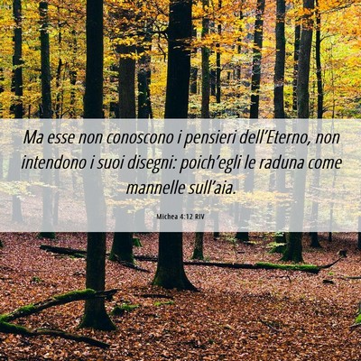 Picture 06 - Michea 4:12 RIV - Ma esse non conoscono i pensieri dell’Eterno, - Bible Verse Picture
