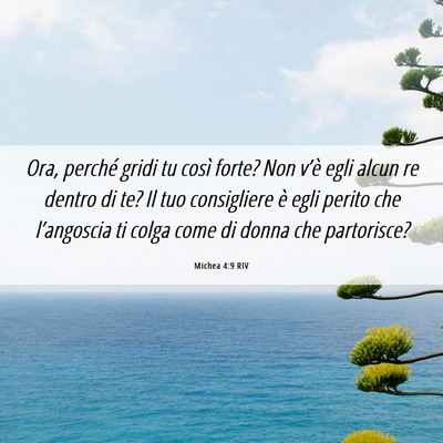 Picture 06 - Michea 4:9 RIV - Ora, perché gridi tu così forte? Non v’è - Bible Verse Picture