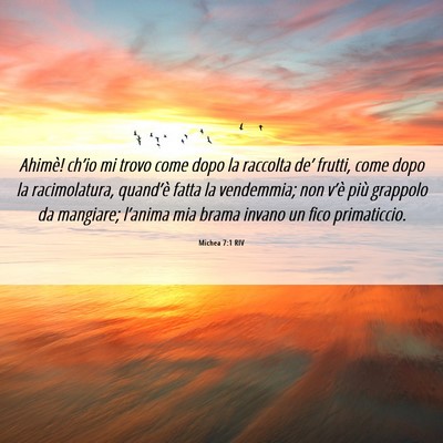 Picture 06 - Michea 7:1 RIV - Ahimè! ch’io mi trovo come dopo la raccolta - Bible Verse Picture