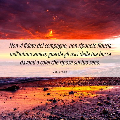 Picture 06 - Michea 7:5 RIV - Non vi fidate del compagno, non riponete fiducia - Bible Verse Picture