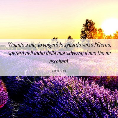 Picture 06 - Michea 7:7 RIV - “Quanto a me, io volgerò lo sguardo verso - Bible Verse Picture