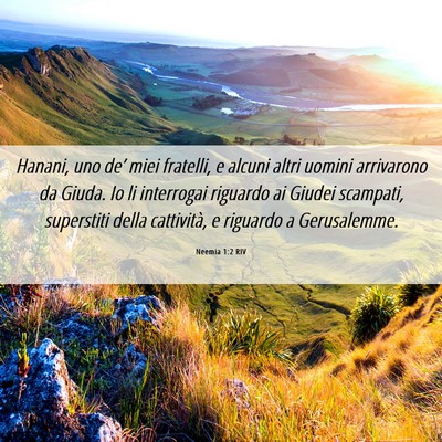 Picture 06 - Neemia 1:2 RIV - Hanani, uno de’ miei fratelli, e alcuni altri - Bible Verse Picture