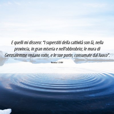 Picture 06 - Neemia 1:3 RIV - E quelli mi dissero: “I superstiti della - Bible Verse Picture