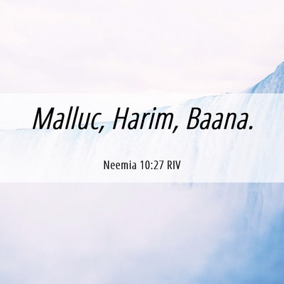 Picture 06 - Neemia 10:27 RIV - Malluc, Harim, - Bible Verse Picture