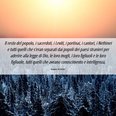 Picture 06 - Neemia 10:28 RIV - Il resto del popolo, i sacerdoti, i Leviti, i - Bible Verse Picture