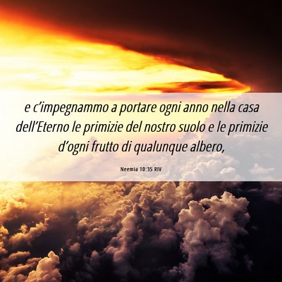 Picture 06 - Neemia 10:35 RIV - e c’impegnammo a portare ogni anno nella casa - Bible Verse Picture