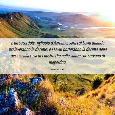 Picture 06 - Neemia 10:38 RIV - E un sacerdote, figliuolo d’Aaronne, sarà coi - Bible Verse Picture