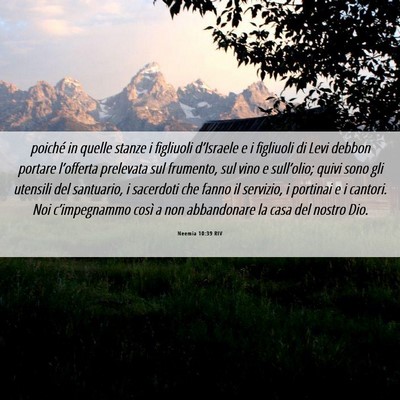 Picture 06 - Neemia 10:39 RIV - poiché in quelle stanze i figliuoli d’Israele - Bible Verse Picture