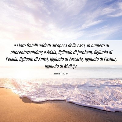 Picture 06 - Neemia 11:12 RIV - e i loro fratelli addetti all’opera della casa, - Bible Verse Picture