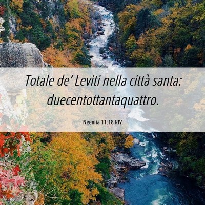 Picture 06 - Neemia 11:18 RIV - Totale de’ Leviti nella città santa: - Bible Verse Picture