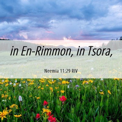 Picture 06 - Neemia 11:29 RIV - in En-Rimmon, in - Bible Verse Picture