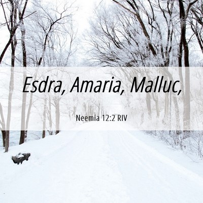 Picture 06 - Neemia 12:2 RIV - Esdra, Amaria, - Bible Verse Picture